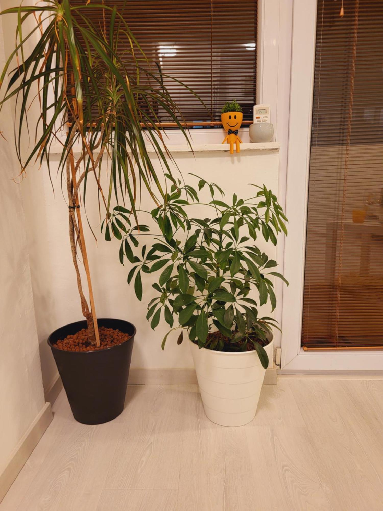 סקופיה City Center White Apartment! מראה חיצוני תמונה